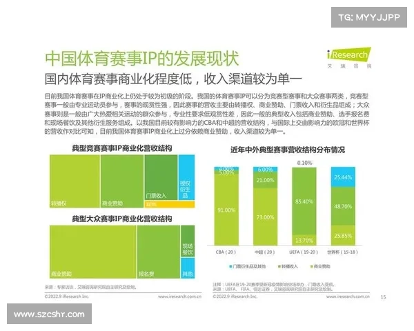 体育赛事价值报告(体育赛事的商业价值) 体育赛事价值报告(体育赛事的商业价值)