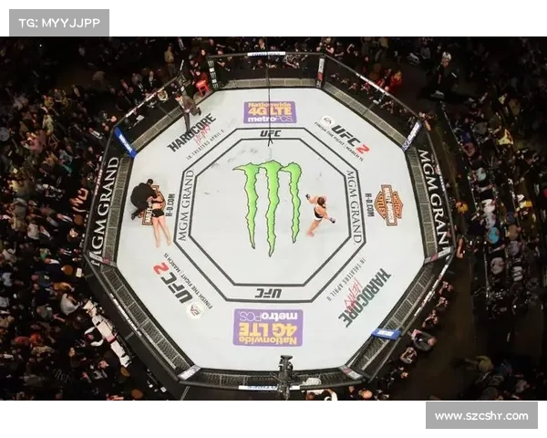 世界顶级mma赛事 世界顶级mma赛事