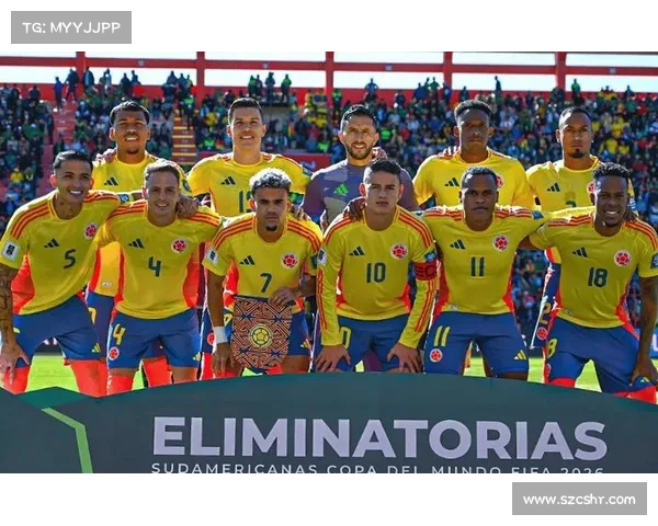 巴西与秘鲁的赛事;巴西队vs秘鲁队比赛场地